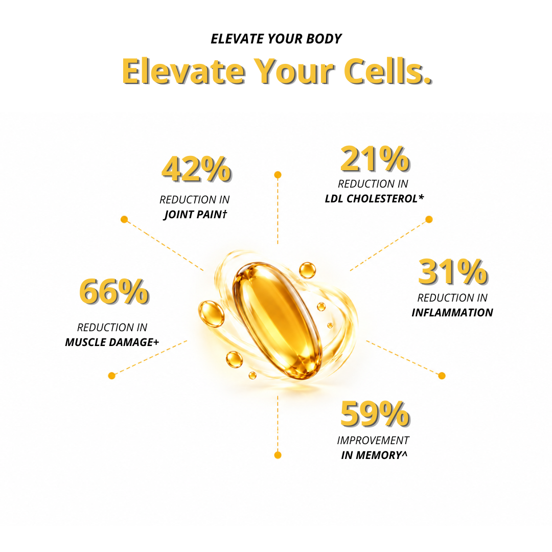 NutraEver Rich Omega Fish Oil 1000mg | EPA + DHA Softgels | B1G1