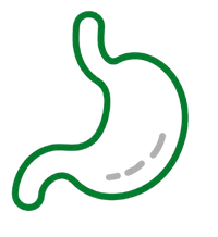 Digestion