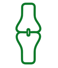 Bone & Joint Support